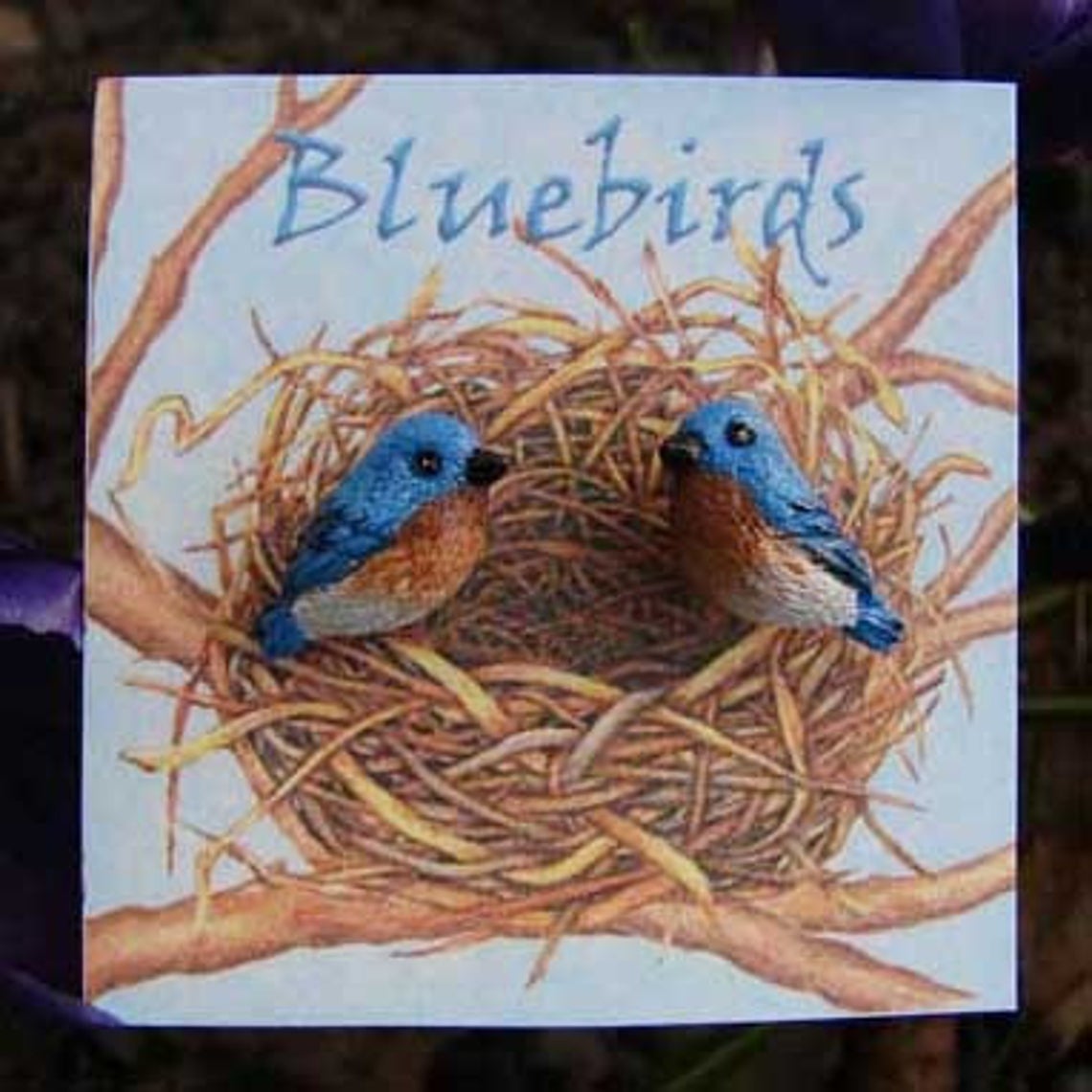 Bluebird earrings clearance